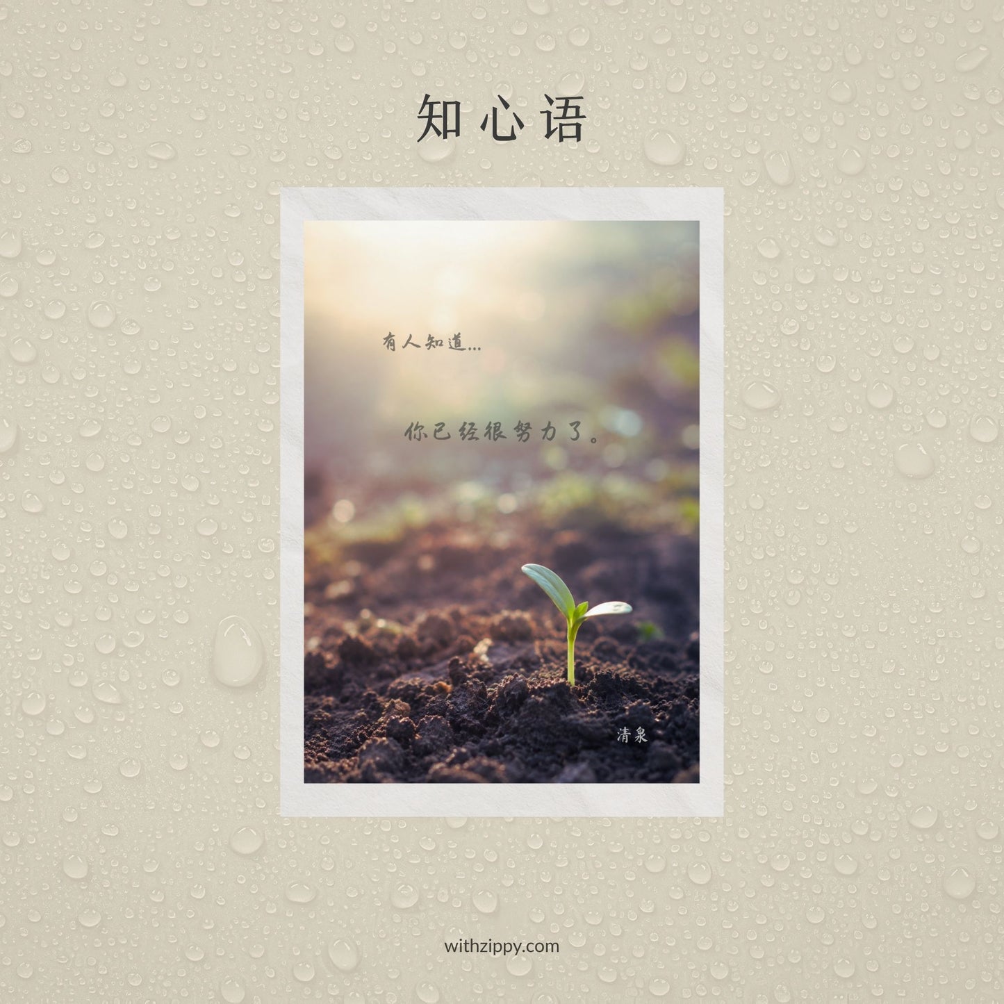 Someone Knows · Xin Ku Le